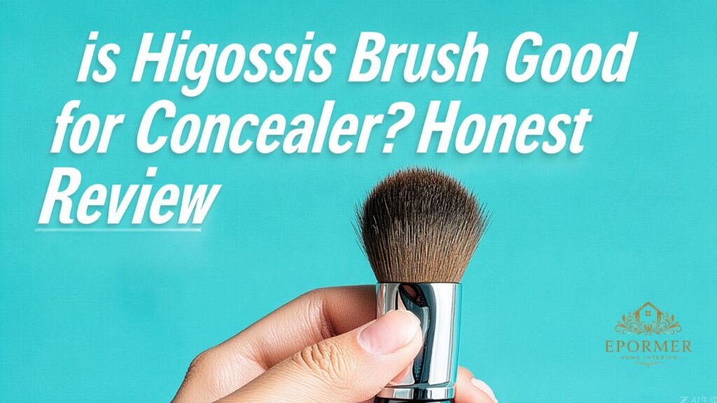 Is Higossis Brush Good for Concealer?